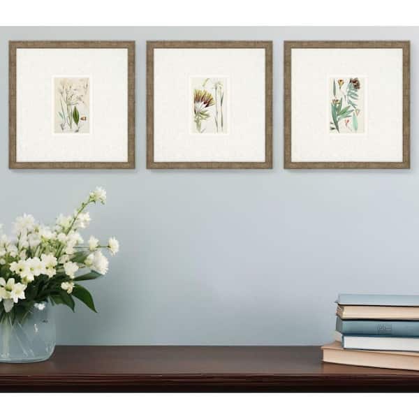 3 Piece Framed Graphic Print Plants and Flowers 13.00 in. x 13.00 in.