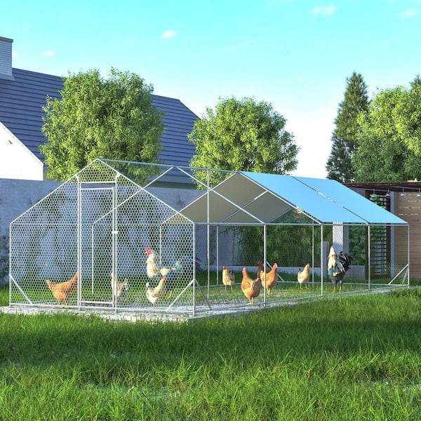 Hohuqeri 10 ft. x 20 ft. Large Walk-in Chicken Coop, Steeple type