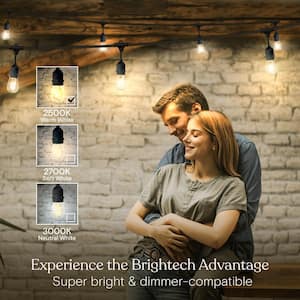 Ambience Pro 7-Light 24 ft. Outdoor Plug-in 2W 2500k LED S14 Hanging Edison Bulb String-Light