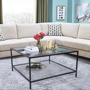 Hudd 31.5 in. Modern 2-Tier Clear Tempered Glass Square Elegant Coffee Table