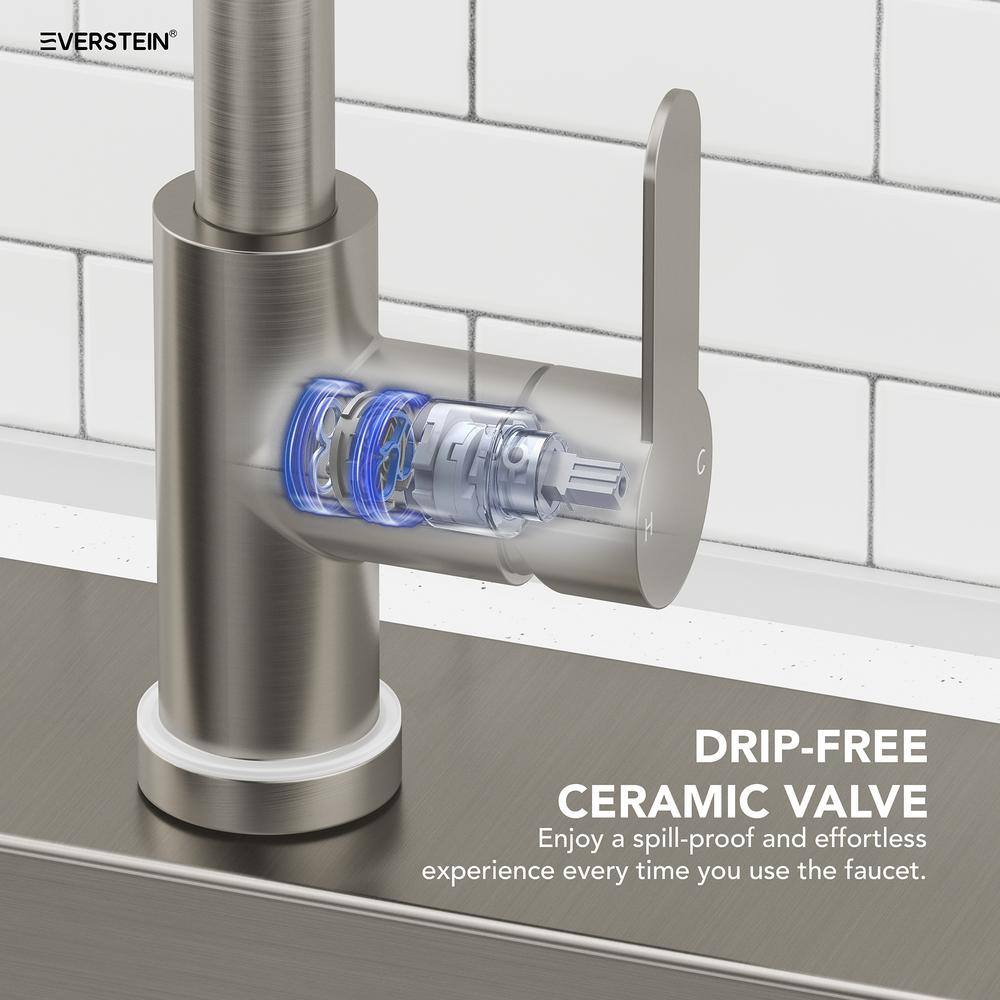 Brushed Nickel Single Handle Kitchen Faucet with Pull-Out Spray