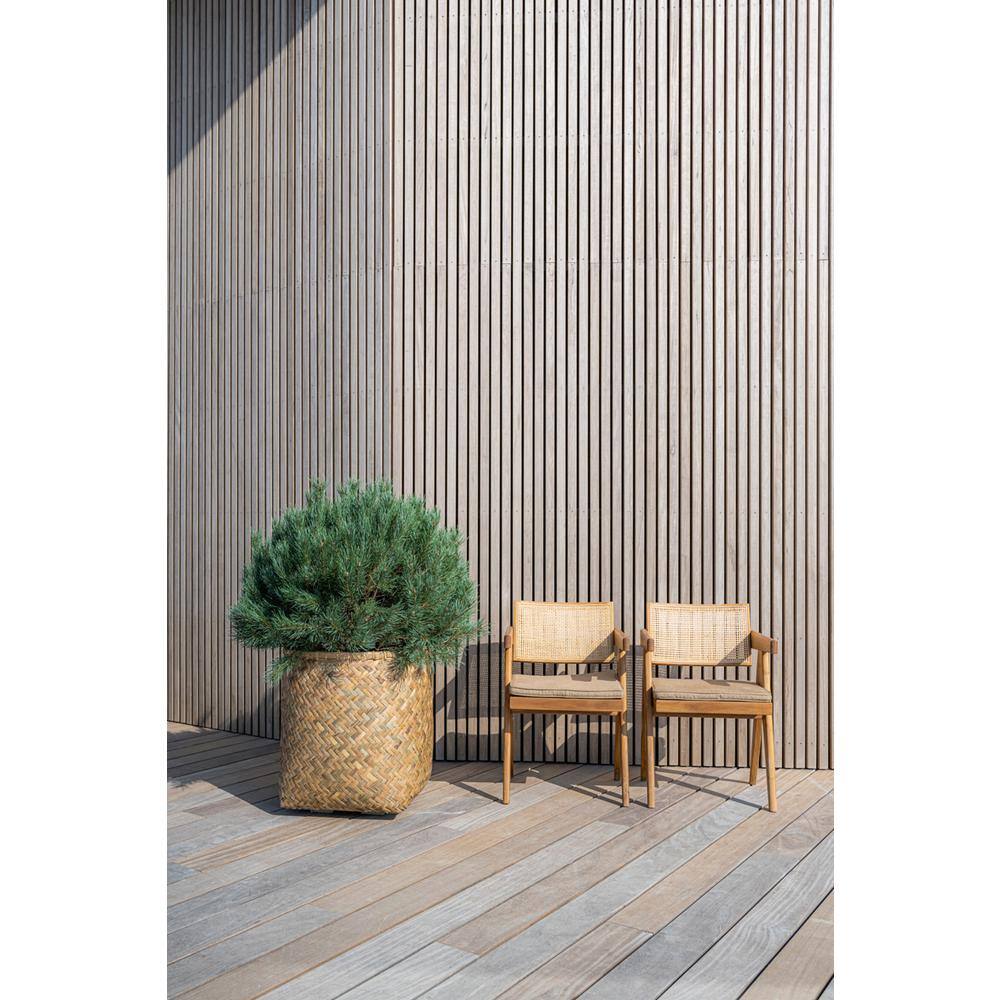 Natural Bamboo and Cement Round Indoor Outdoor Planter