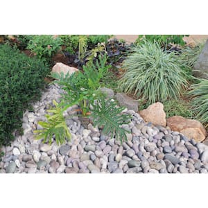 Multi-Colored 0.5 cu. ft. per Bag (1 in. to 2.5 in.) Bagged Landscape Pebbles (55 Bags/22.5 cu. ft./Pallet)