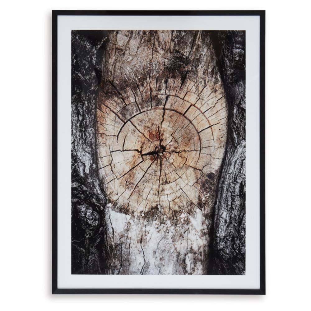 Freyburn 40" Black and Brown Tree Wall Art