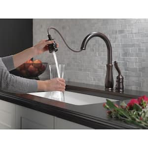 Leland Single-Handle Pull-Down Sprayer Kitchen Faucet with MagnaTite Docking in Venetian Bronze