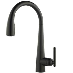 Lita Single-Handle Pull-Down Sprayer Kitchen Faucet with Soap Dispenser in Matte Black