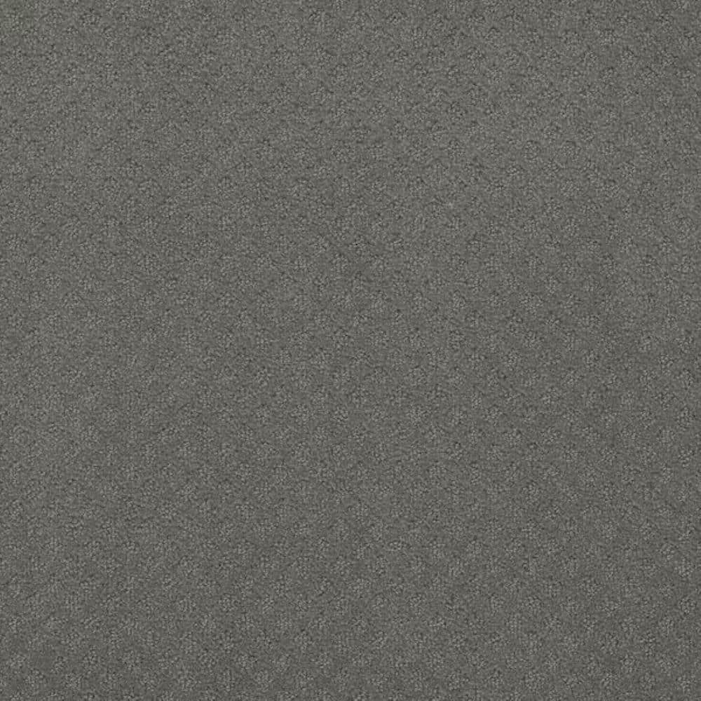 8 in. x 8 in. Pattern Carpet Sample-Bell Loop-Color Twilight price history on PriceWatchPro