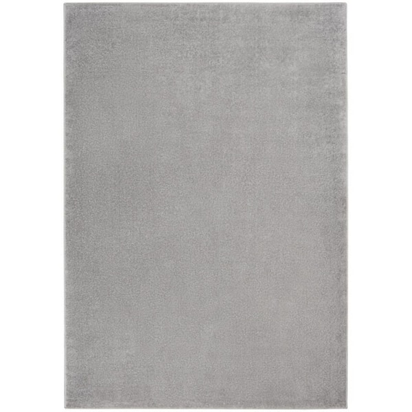 Gray 4 ft. x 6 ft. Woven Polypropylene Indoor/Outdoor Area Rug