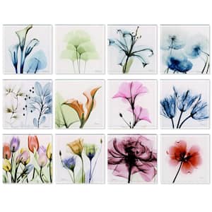 4 in. x 4 in. each Lovely Flowers Coasters Super White Glass Coasters with Cork Bottom - set of 12 florals