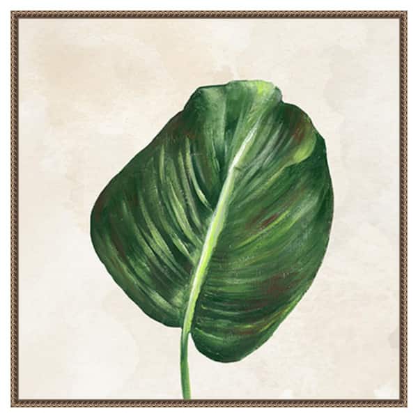Amanti Art Tropical Leaves I by Lee C 30 in. W x 30 in. H. Canvas Wall Art Print Framed in Bronze