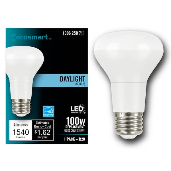 EcoSmart 100-Watt Equivalent R20 CEC Dimmable LED Light Bulb in Daylight 5000K (1-Bulb)
