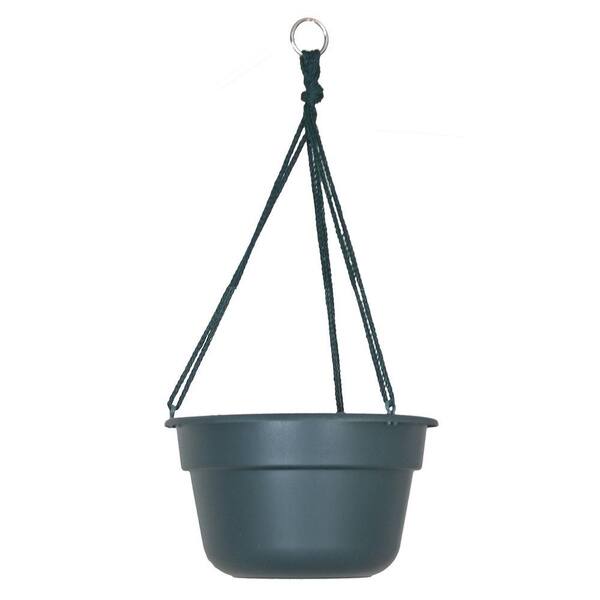 Bloem 12 in. Midsummer Night Dura Cotta Plastic Hanging Basket (12-Pack)