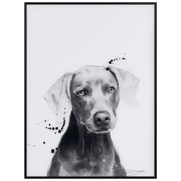 Empire Art Direct Poodle Pet Paintings on Printed Glass Encased with A  Black Anodized Frame, 24 x 18 x 1