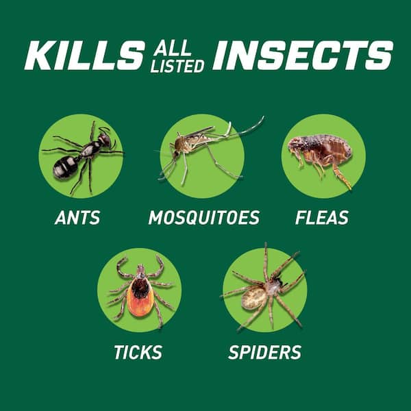 Bug B-gon Lawn and Landscape Insect Killer 32 fl. oz. Ready-to-Spray Ant Flea and Spider Killer (2-Pack)