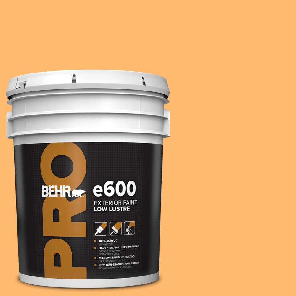 5 gal. #P240-5 Cheese Puff Low Luster Exterior Paint price history on PriceWatchPro