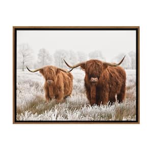 Highland Cattle Framed Canvas Wall Art - 32 in. x 24 in. Size, by Kelly Merkur 1 -piece Natural Frame