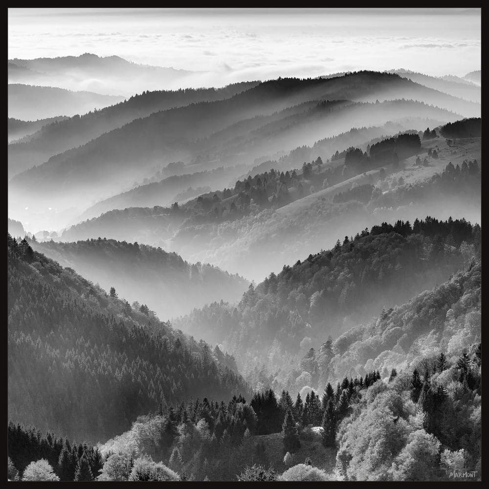 Take the Trails by Marmont Hill Floater Framed Canvas Nature Art Print 48 i