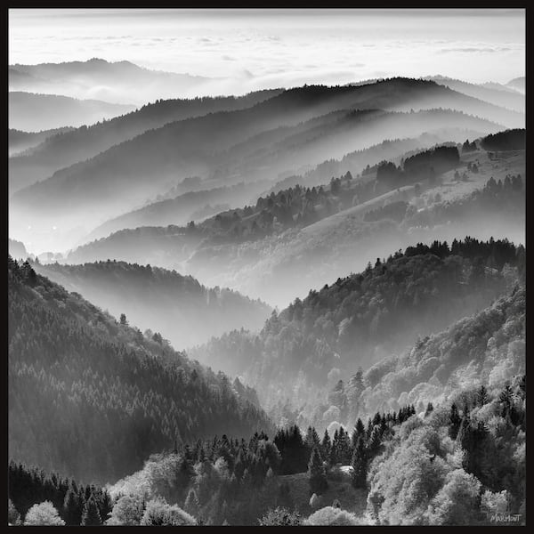 Unbranded "Take the Trails" by Marmont Hill Floater Framed Canvas Nature Art Print 48 in. x 48 in.