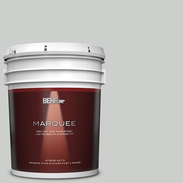 BEHR MARQUEE 5 gal. Home Decorators Collection #HDC-MD-06G Sparkling Silver Matte Interior Paint & Primer