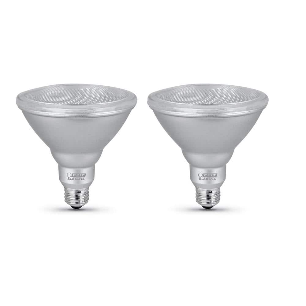 LED Bulb  Daylight  100 Watt Equivalence Medium 2 Pack Philips PAR 38  E26 