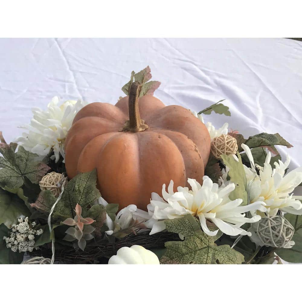 Large Specialty Gourd/Pumpkin 768986600484 - The Home Depot