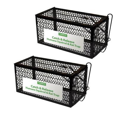 Catch and Release Humane Squirrel and Rodent Cage Trap (2-Pack)