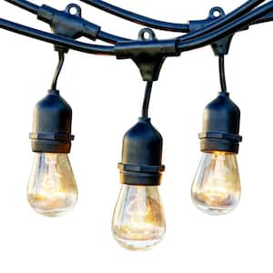 8 Light 25 ft. Outdoor Plug-in Edison Bulb String Light Commercial Grade Hanging Light, 10 Bulbs Included