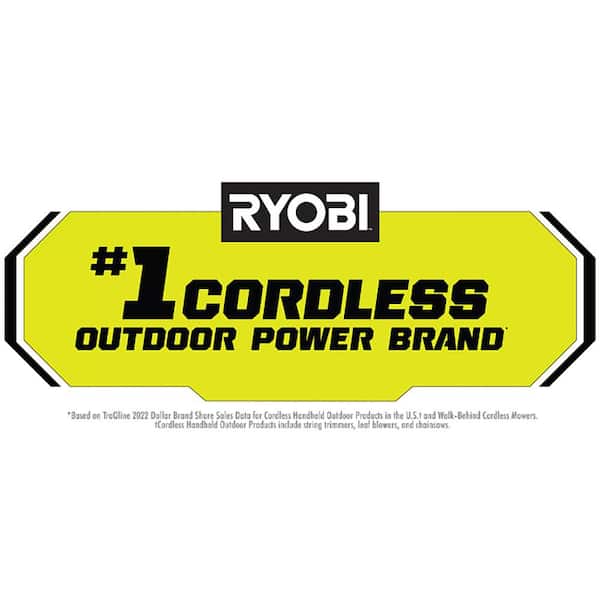 40V 10 in. Cordless Battery Pole Saw (Tool-Only)