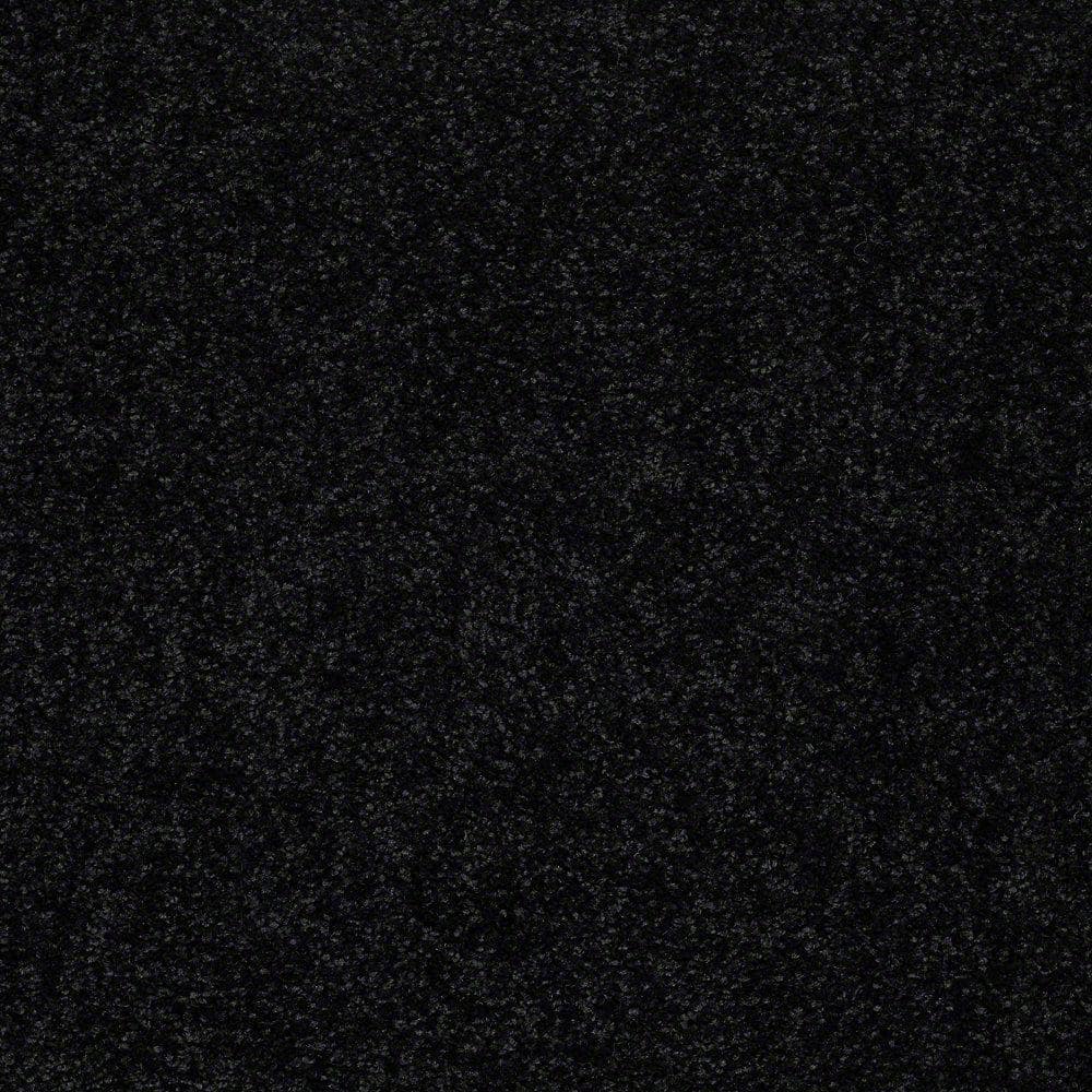8 in. x 8 in. Texture Carpet Sample - Watercolors I - Color Pepper price history on PriceWatchPro