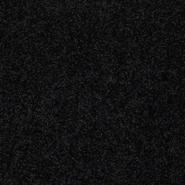 TrafficMaster 8 in. x 8 in. Texture Carpet Sample - Watercolors II - Color Pepper