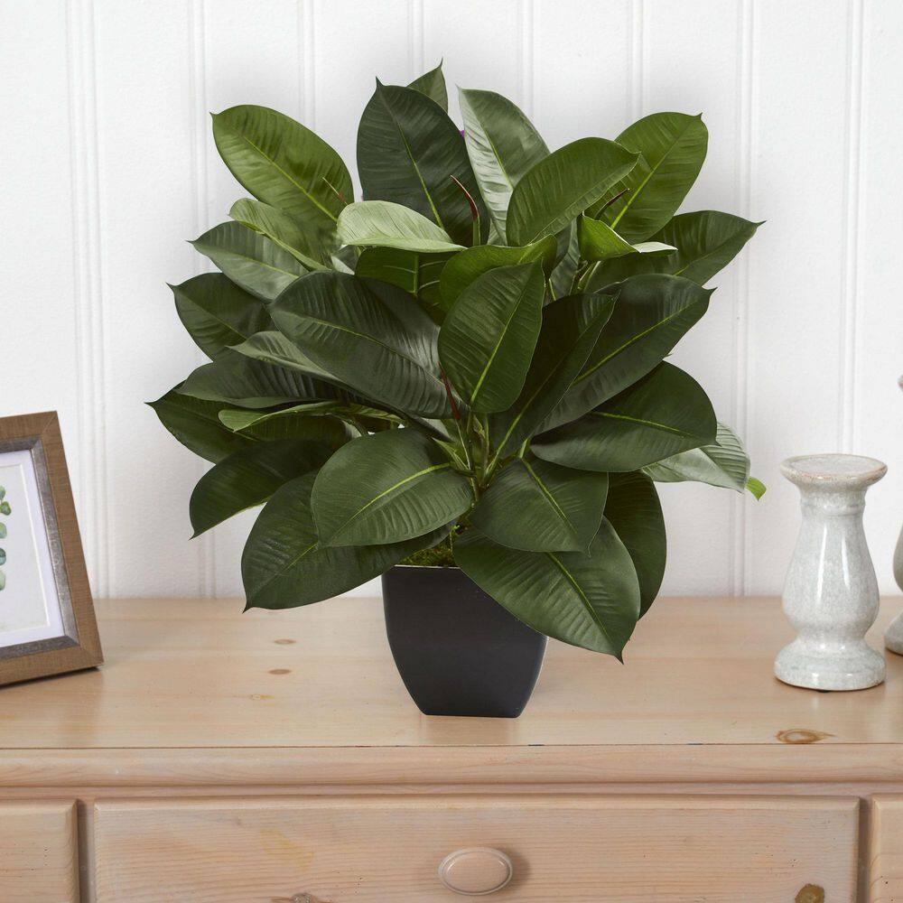 23" Dark Green Silk Oak Ficus Plant in Black Pot