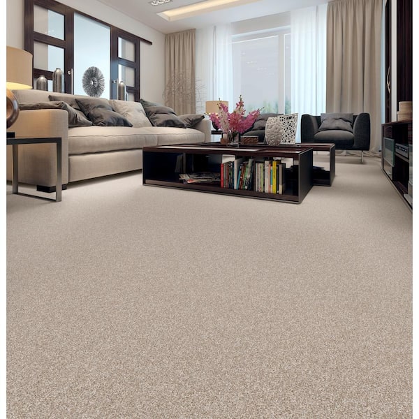 Coastal Charm II Color Lush Brown 56 oz. Nylon Texture Installed Carpet