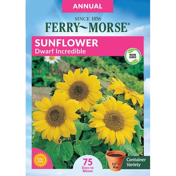Ferry-Morse Sunflower Dwarf Incredible Flower Seed