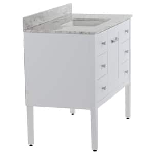 Hensley 43 in. W x 22 in. D x 39 in. H Single Sink  Bath Vanity in White with Winter Mist Cultured Marble Top