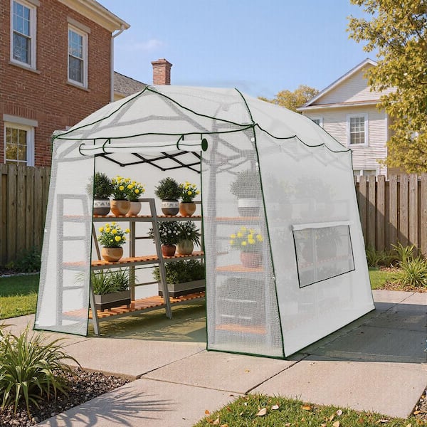 11.2 ft. D x 8 ft. H Pop-Up Iron Frame and PE Fabric Portable Easy-Setup White Greenhouse with Roll-Up Door