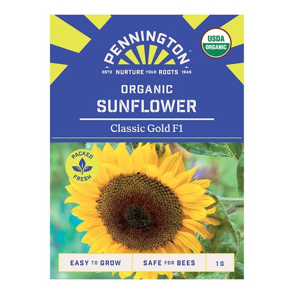 Organic Classic Gold F1 Sunflower Flower Seeds