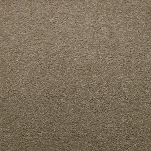 Home Decorators Collection 8 in. x 8 in. Texture Carpet Sample - Sweet Dreams II -Color Canvas