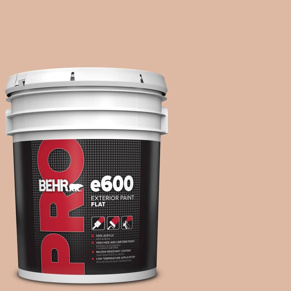 5 gal. #ECC-60-1 Coral Bay Flat Exterior Paint product image for price tracking