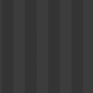 Smart Stripes 2 Solid Wide Stripe in Black and Gray