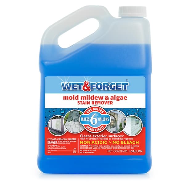 Wet & Forget 1 Gal. Mold Mildew and Algae Stain Remover