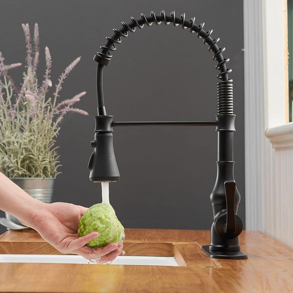 Matte Black Pull-Down Kitchen Faucet with Deck Plate