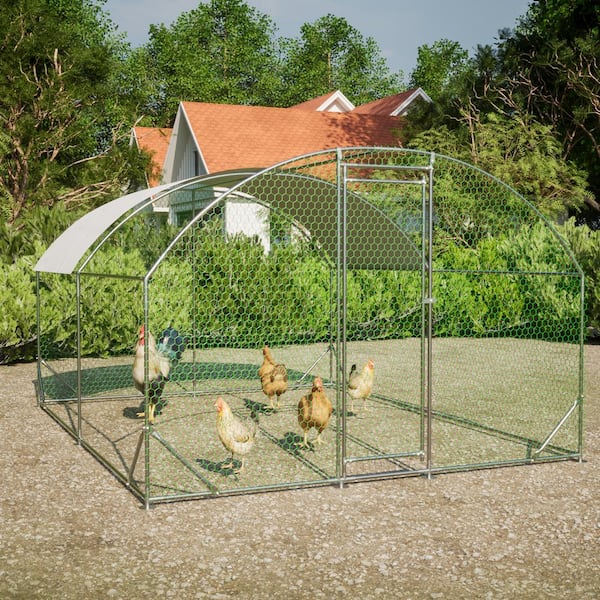 Thanaddo 10 ft. x 13 ft. Large Metal Walk in Chicken Coop Galvanized Cage Farm Poultry Run Hutch Hen House