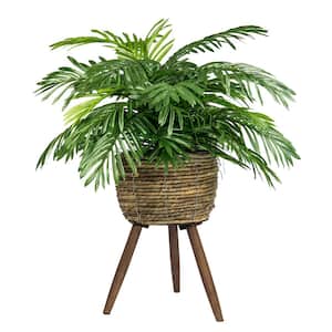 30 in. Artificial Phoenix Palm in Basket Stand