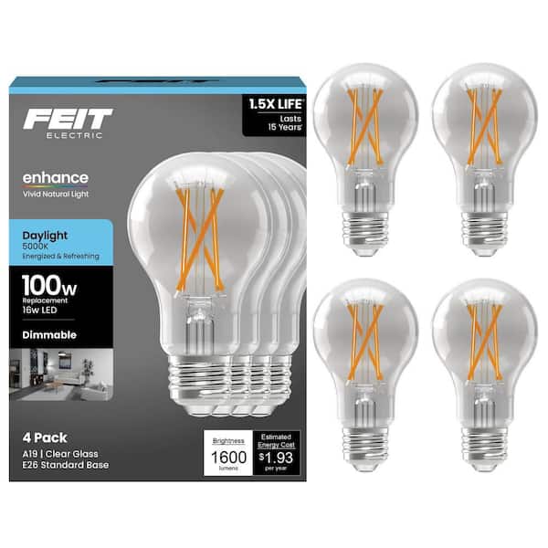 100-Watt Equivalent A-style A19 Dimmable CEC 90 CRI Clear Glass Filament E26 LED Light Bulb, Daylight 5000K (4-Pack)