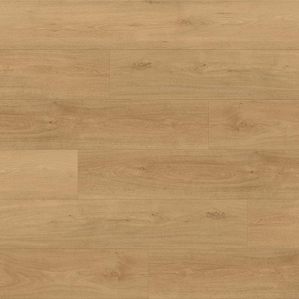Take Home Sample - 7.20 in. W x 4 in. L Wise Junipero Waterproof Click Lock Luxury Vinyl Plank Flooring price history on PriceWatchPro