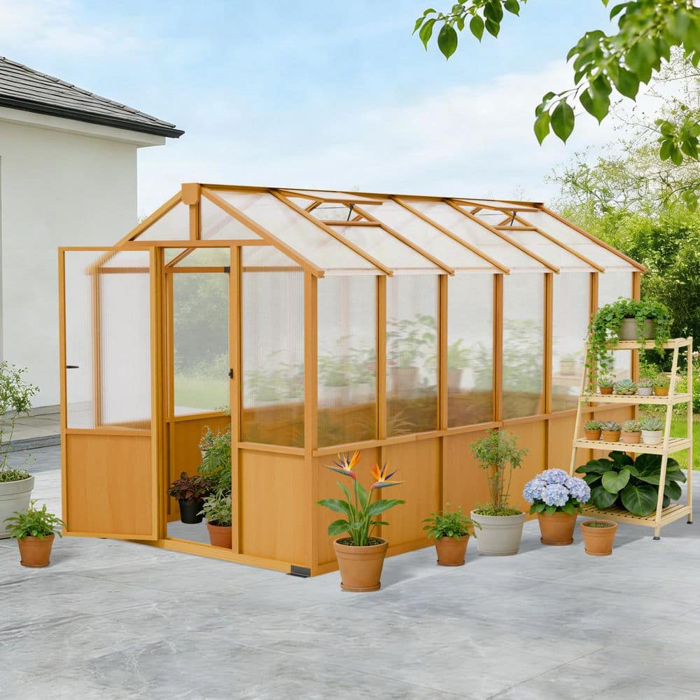 COOS BAY 6 x 12 ft Wood Greenhouse with Double-Layer Polycarbonate