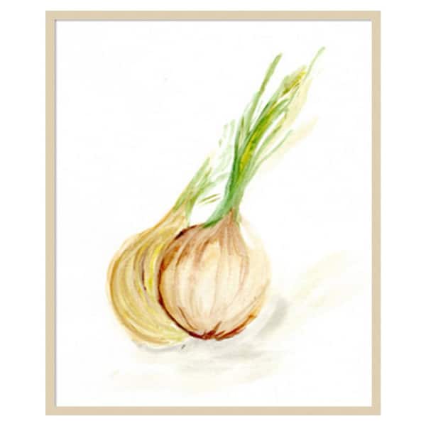 Amanti Art Veggie Sketch Onion by Marcy Chapman 34 in. W x 41 in. H. Wood Framed Wall Art Print Framed in Brown