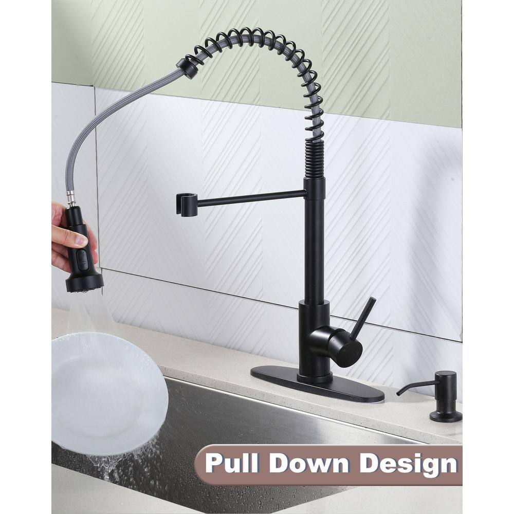 Matte Black Stainless Steel Kitchen Faucet with Pull Down Sprayer