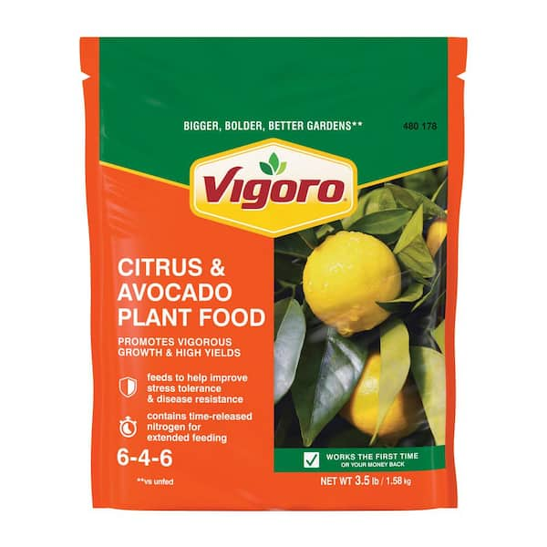 Vigoro 3.5 lb. All Season Citrus and Avocado Plant Food (6-4-6)