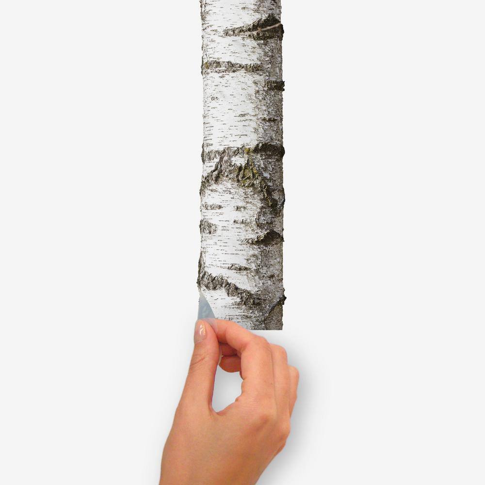 Realistic Birch Trees Peel and Stick Vinyl Wall Decal Set